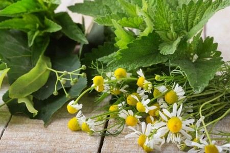 Лікування імпотенції народними засобами назавжди
