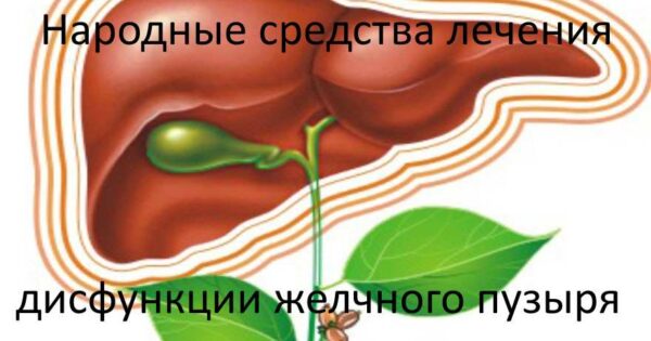 Лікування жовчного міхура народними засобами