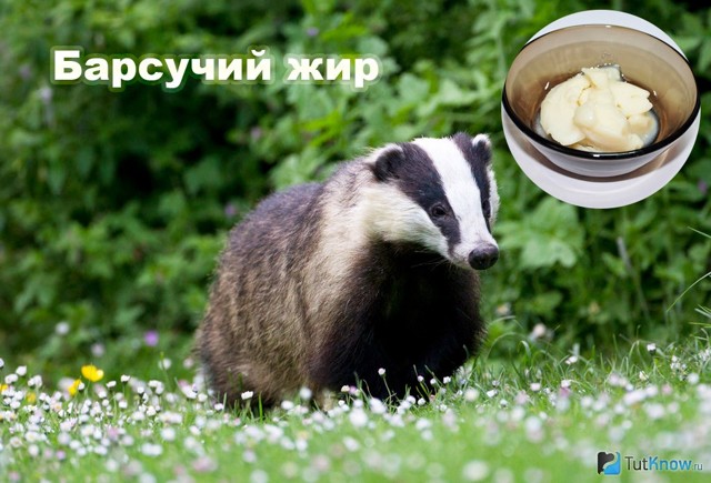 Ларингіт: антибіотики для лікування для дорослих – які препарати приймати