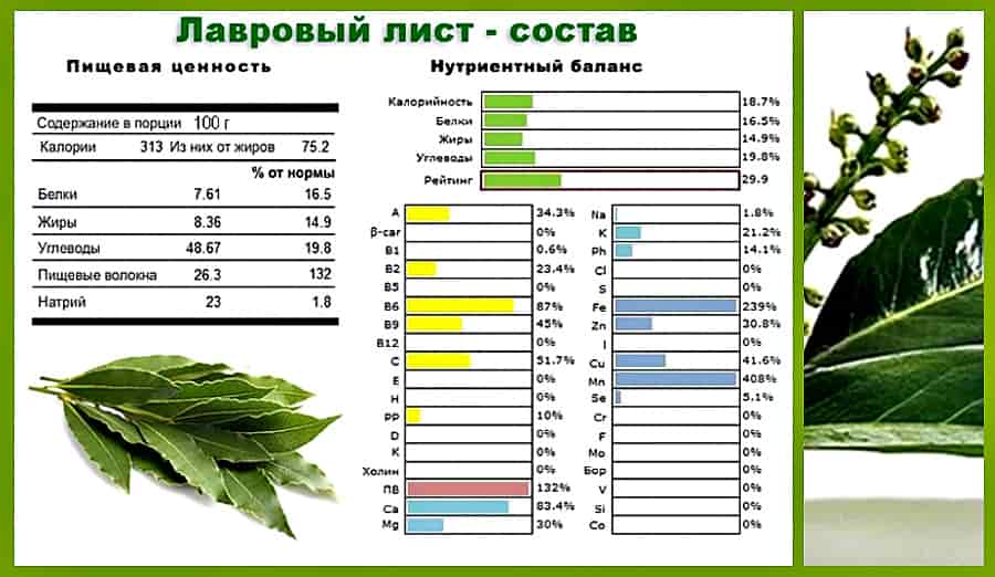 Лавровий лист лікувальні властивості, застосування в народній медицині рецепти