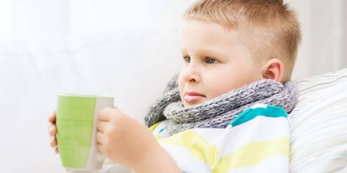 Липовий цвіт – користь і шкода, показання для лікування, як заварювати відвар або чай для дитини і дорослого