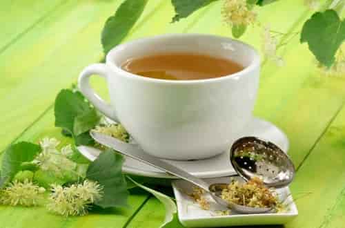 Липовий цвіт – користь і шкода, показання для лікування, як заварювати відвар або чай для дитини і дорослого