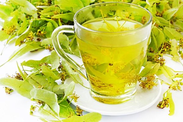 Липовий цвіт – користь і шкода, показання для лікування, як заварювати відвар або чай для дитини і дорослого