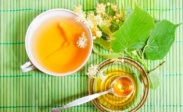 Липовий цвіт – користь і шкода, показання для лікування, як заварювати відвар або чай для дитини і дорослого