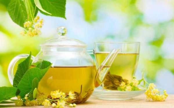 Липовий цвіт – користь і шкода, показання для лікування, як заварювати відвар або чай для дитини і дорослого