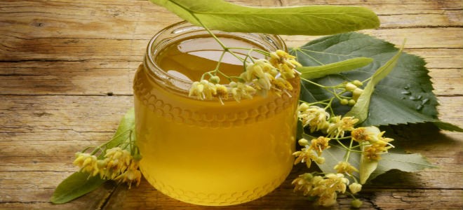 Липовий мед: корисні властивості, протипоказання, як виглядає, фото Липовий мед: корисні властивості, протипоказання, як виглядає, фото