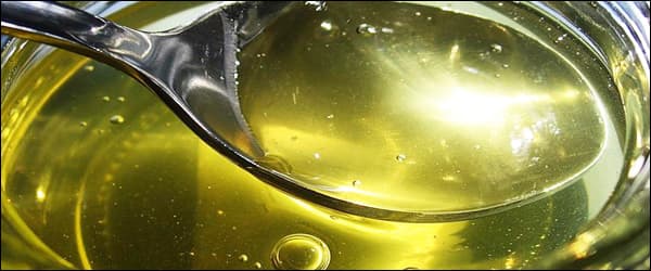 Липовий мед: корисні властивості, протипоказання, як виглядає, фото Липовий мед: корисні властивості, протипоказання, як виглядає, фото