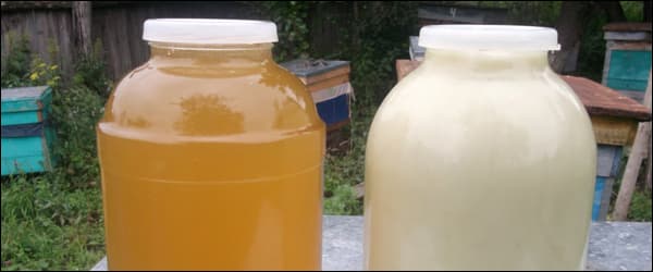 Липовий мед: корисні властивості, протипоказання, як виглядає, фото Липовий мед: корисні властивості, протипоказання, як виглядає, фото