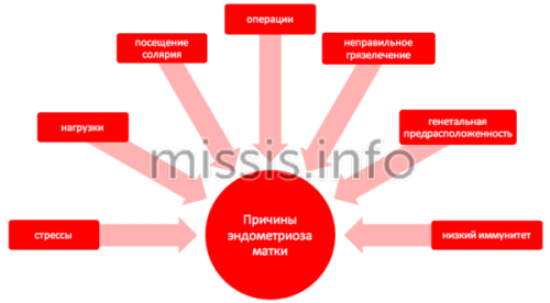 Міома матки: лікування народними засобами » Лікування народними засобами