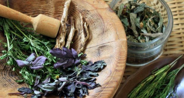 Міома матки: лікування народними засобами » Лікування народними засобами Міома матки: лікування народними засобами » Лікування народними засобами