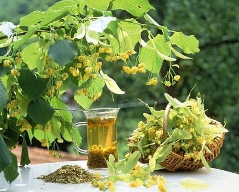 Маски для обличчя з липи