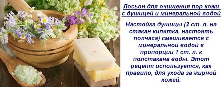 Материнка лікувальні властивості і протипоказання для жінок і чоловіків застосування