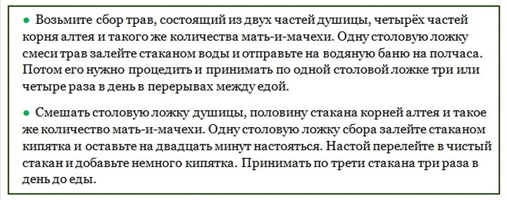 Материнка лікувальні властивості і протипоказання для жінок і чоловіків застосування