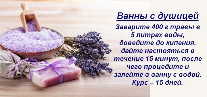 Материнка лікувальні властивості і протипоказання для жінок і чоловіків застосування
