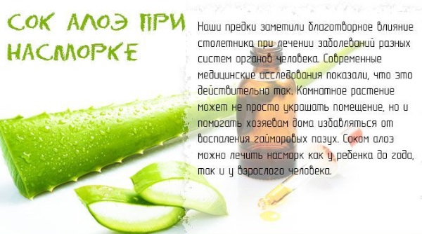 Мазь від нежитю огляд найбільш ефективних