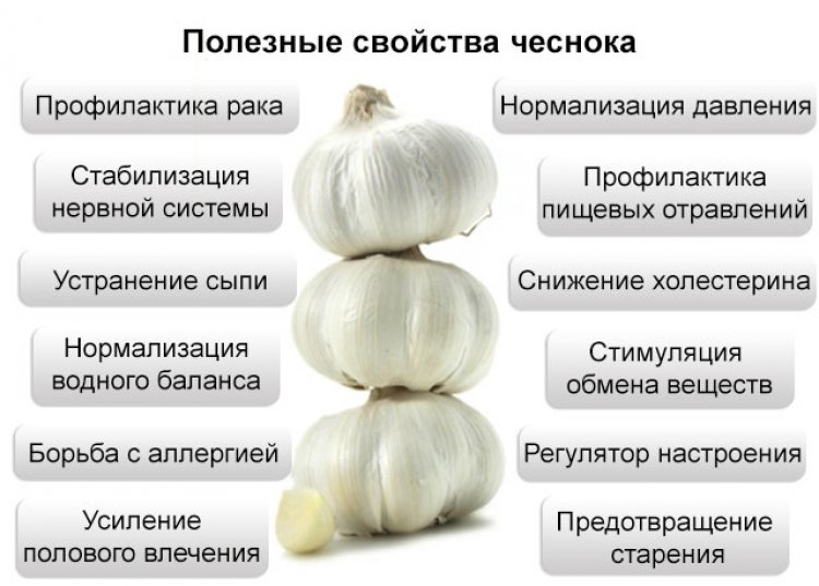 Мед часник лимон рецепт приготування цілющої суміші
