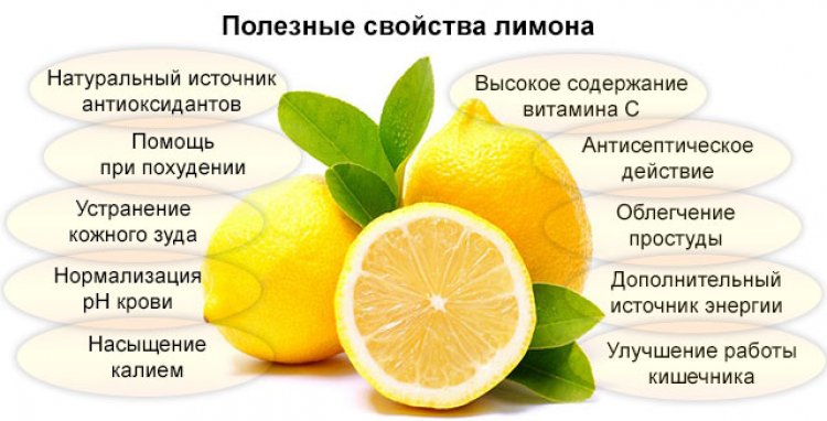 Мед часник лимон рецепт приготування цілющої суміші