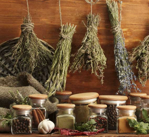 Мед при застуді – Простудні захворювання