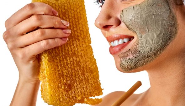 Мед в сотах користь і шкода продукту бджільництва