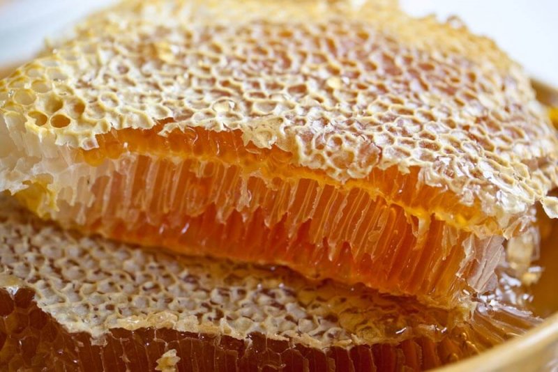 Мед в сотах користь і шкода продукту бджільництва