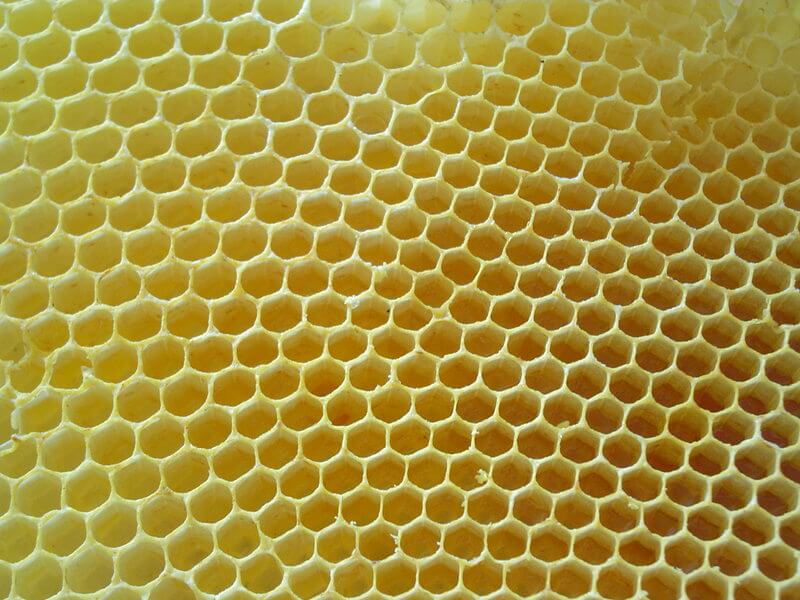 Мед в сотах користь і шкода продукту бджільництва