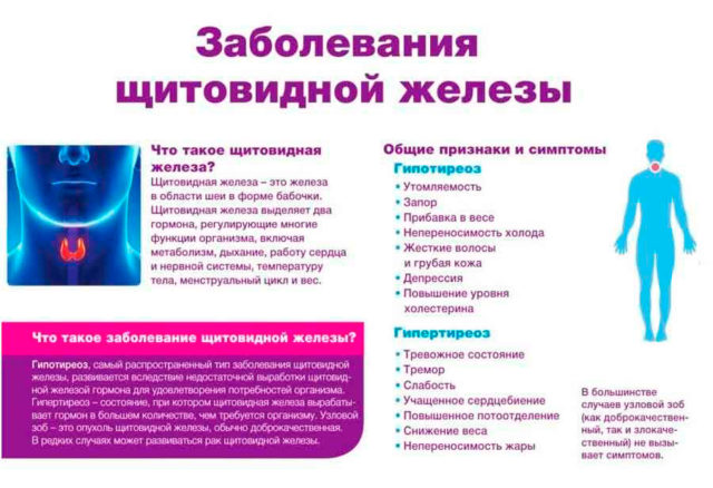 Мед і волоський горіх: для чого корисний рецепт чудо-суміші