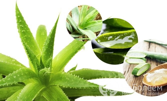 Медикаментозний риніт причини, ознаки, методи лікування