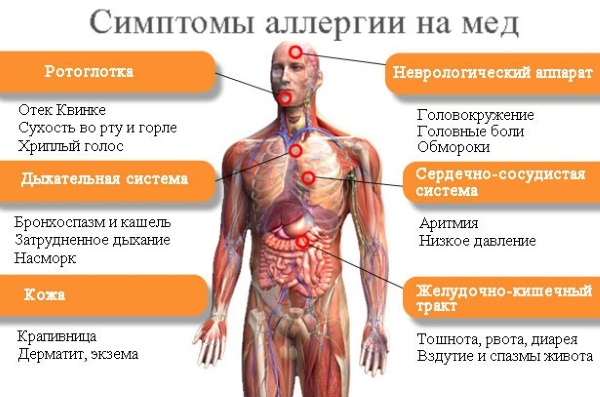 Медовий масаж для схуднення живота