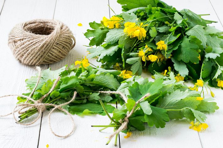 Меланома лікування народними засобами зсж