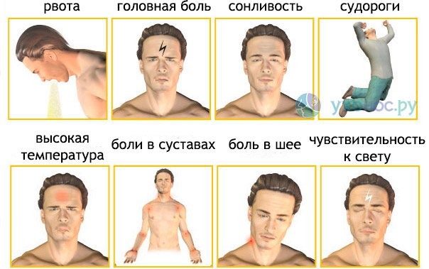 Менінгококовий сепсис або менінгококцемія симптоми у дітей і дорослих лікування можливість вижити