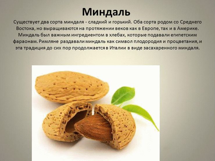 Мигдаль користь і шкода для здоров’я жінок і чоловіків