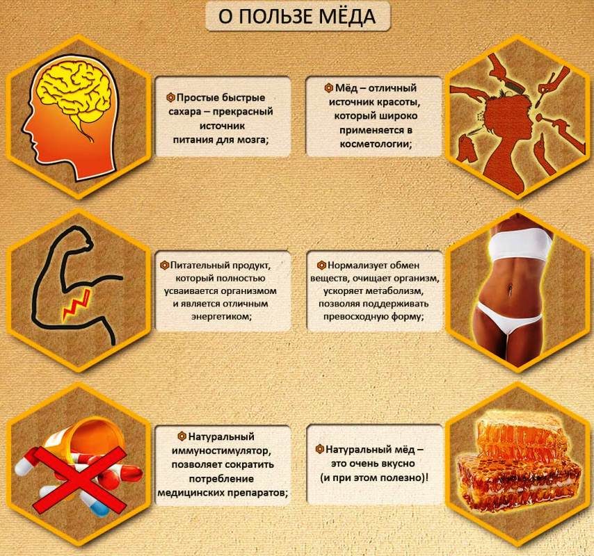 Чи можна отруїтися медом що потрібно знати Чи можна отруїтися медом що потрібно знати