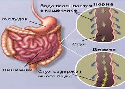 Чи можна отруїтися медом що потрібно знати