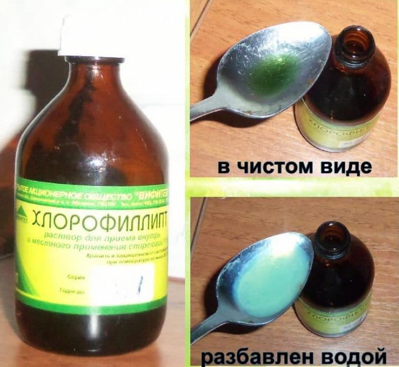 Чи можна полоскати горло Хлорофіліптом