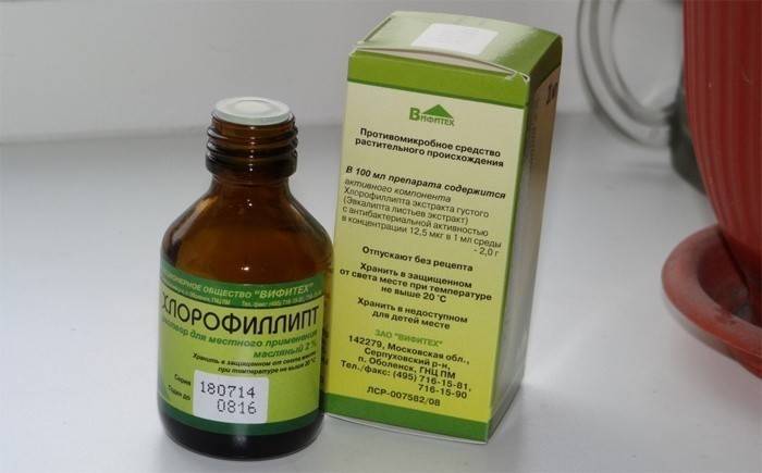 Чи можна полоскати горло Хлорофіліптом