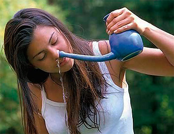 Чи можна промивати ніс ромашкою, в тому числі при гаймориті Чи можна промивати ніс ромашкою, в тому числі при гаймориті