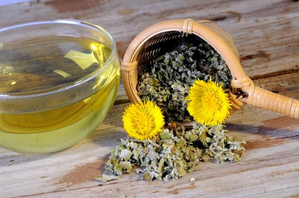 Чи можна застосовувати Грудний збір при вагітності Чи можна застосовувати Грудний збір при вагітності