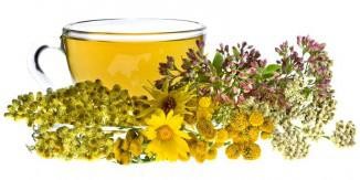 Чи можна застосовувати Грудний збір при вагітності