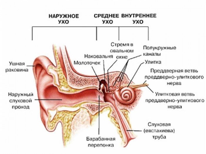 Чим лікувати хворе вухо під час вагітності
