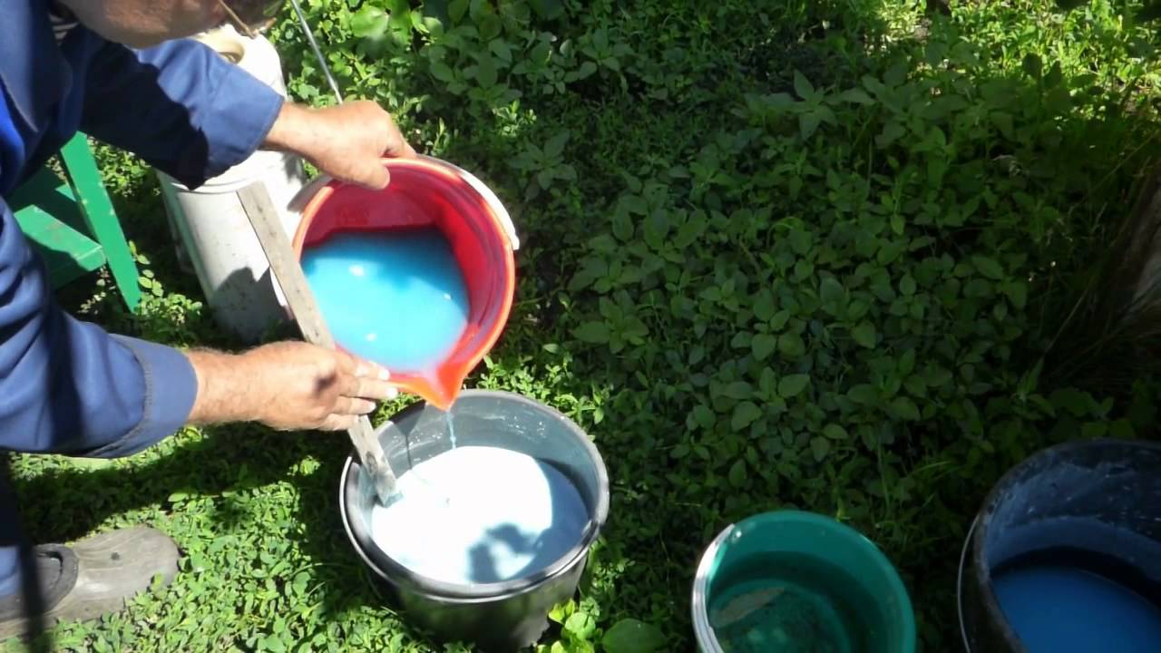 Чим обприскувати дерева від попелиці народними засобами — Bexhoevede.info Чим обприскувати дерева від попелиці народними засобами — Bexhoevede.info