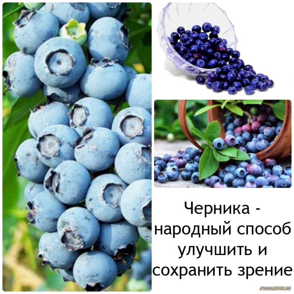 НАРОДНІ РЕЦЕПТИ ДЛЯ ЛІКУВАННЯ ОЧЕЙ