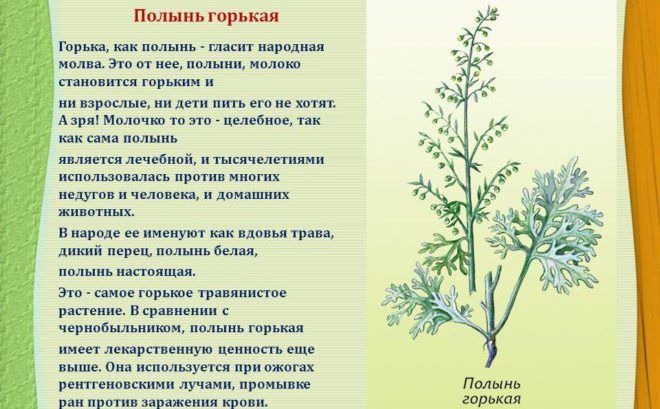 Народні способи лікування мастопатії