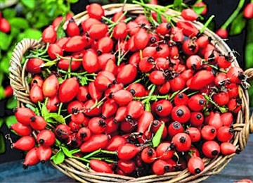 НАРОДНІ СПОСОБИ ЛІКУВАННЯ СЕЧОКАМ’ЯНОЇ ХВОРОБИ