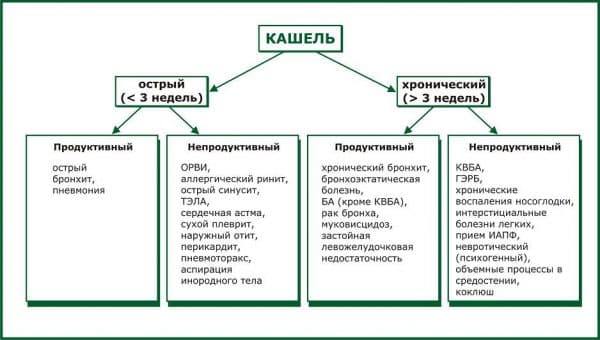 Народні відхаркувальні засоби від кашлю для дорослих