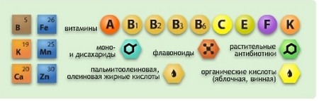 Народні засоби для лікування дуоденіту