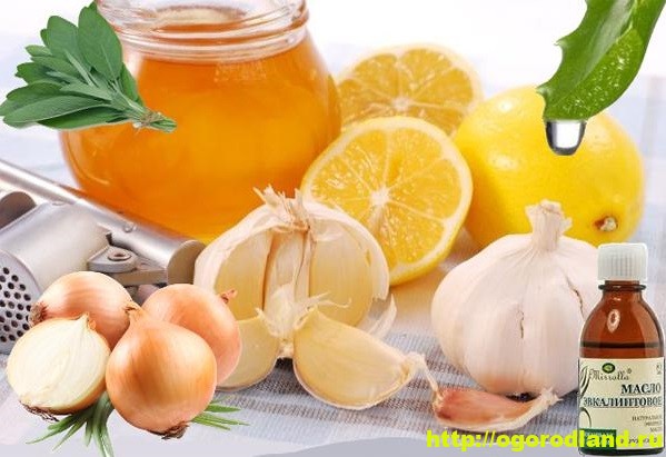 Народні засоби для лікування кашлю
