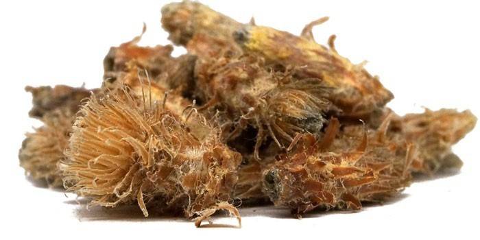 Народні засоби для лікування нежиті у дорослих Народні засоби для лікування нежиті у дорослих