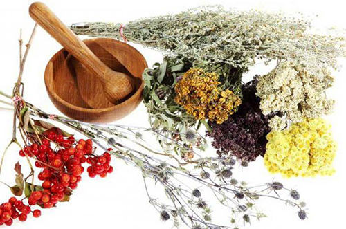 Народні засоби для лікування нирок