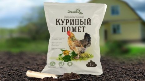 Народні засоби для підживлення капусти