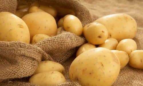 Народні засоби лікування геморою у чоловіків в домашніх умовах